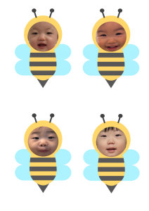 토끼반 꽃과 벌